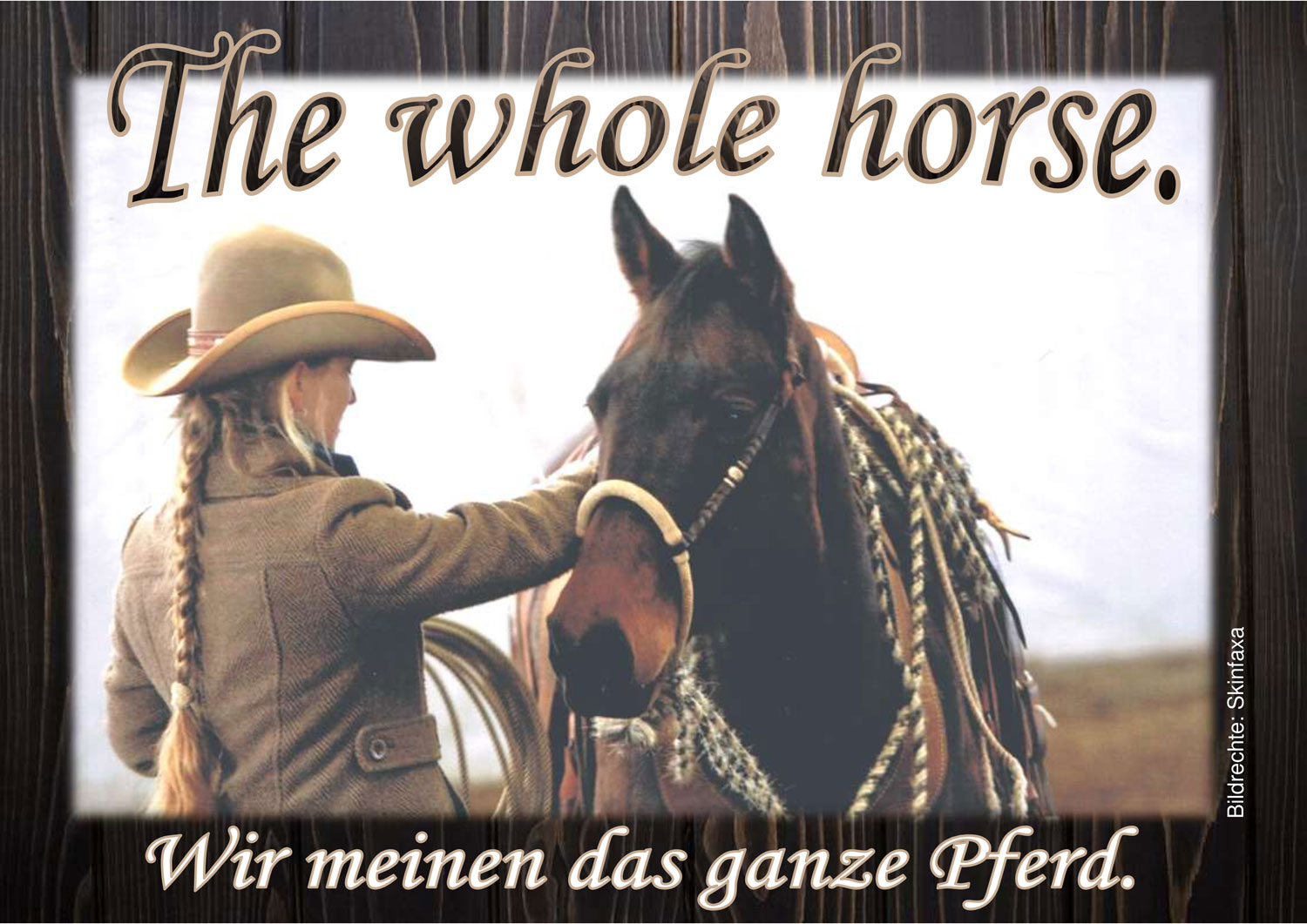 The Whole Horse - Kathy Rehren - Logo