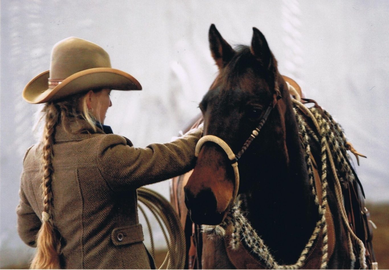 Kathy Quiggle Cowgirl The Whole Horse Bosal Rope Cowgirl Pferd Bosal Rope Kathy Quiggle The Whole Horse